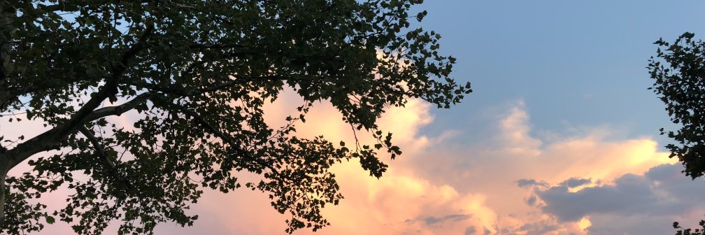 stephwmerrick's profile banner image