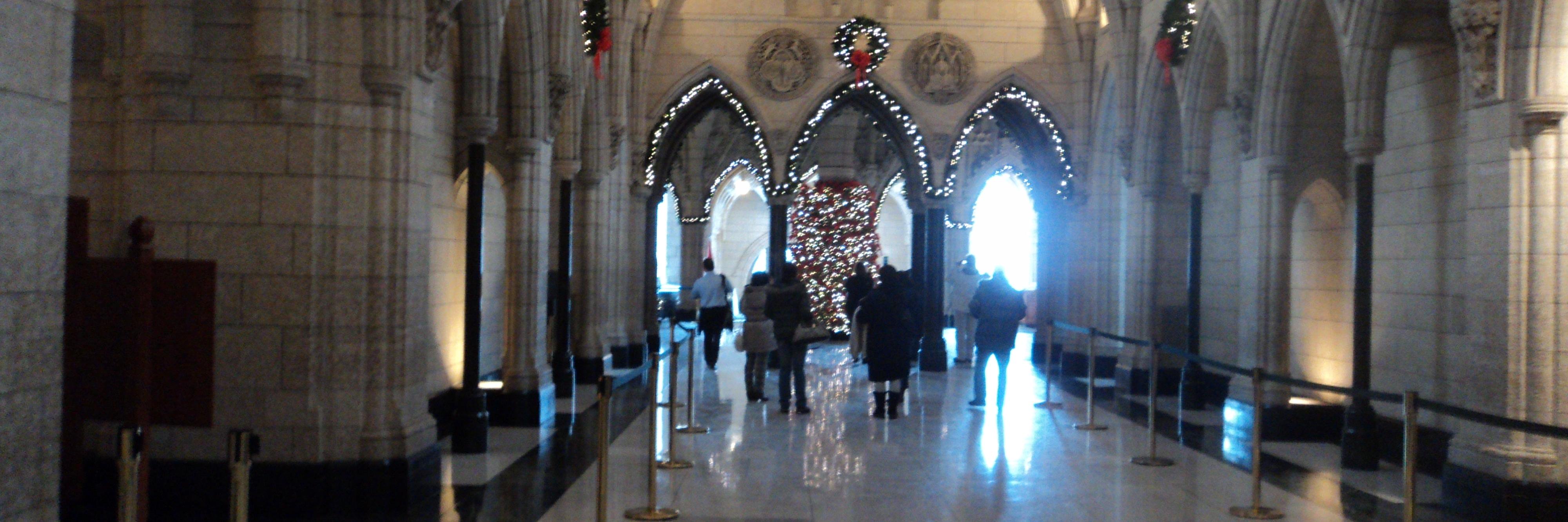 🇨🇦 Super Nana 💗@dlunwin.bsky.social banner