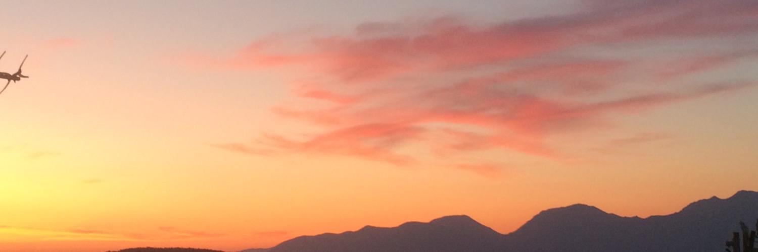 Lynj_14's profile banner image