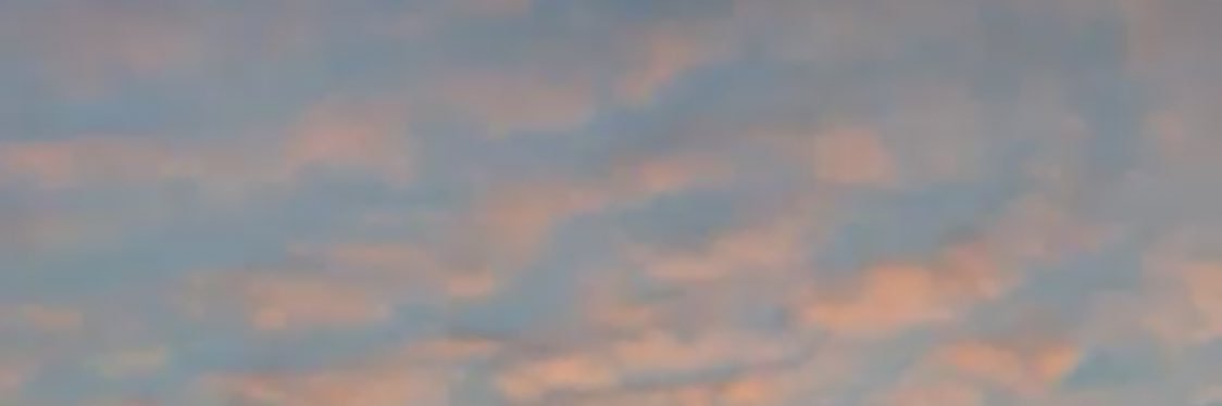 Pausescu's profile banner image