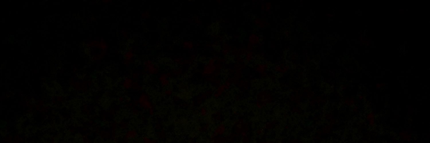 🐋 banner