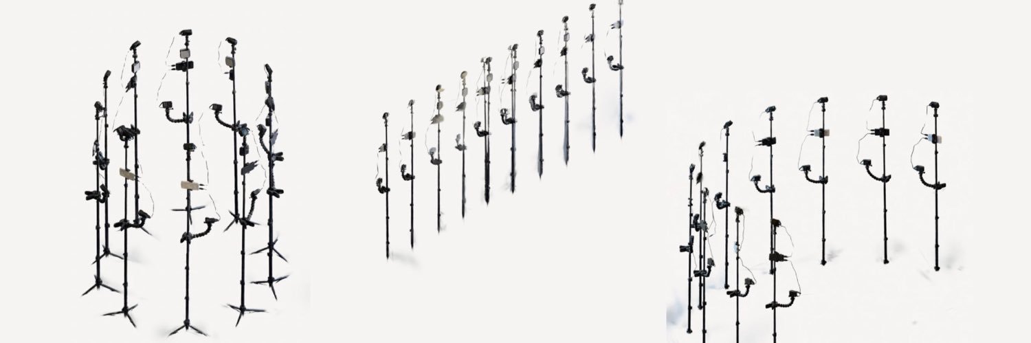 stevieburd's profile banner image
