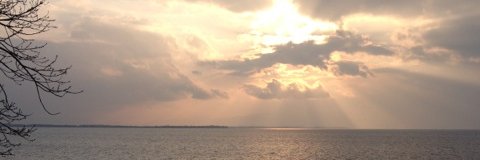 takkn_'s profile banner image