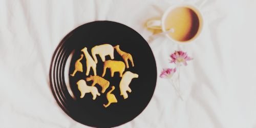 HWilliamsWD's profile banner image
