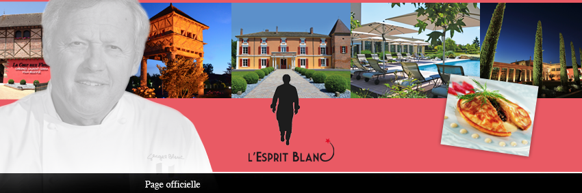 Chef Georges Blanc banner