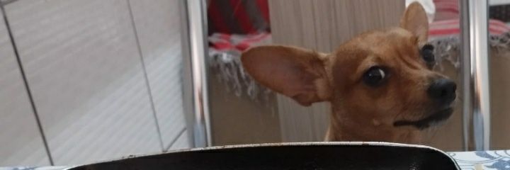 SCOOBY 🇧🇷🇺🇦 banner