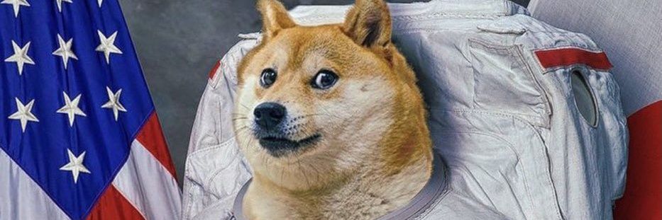 dantheman950's profile banner image