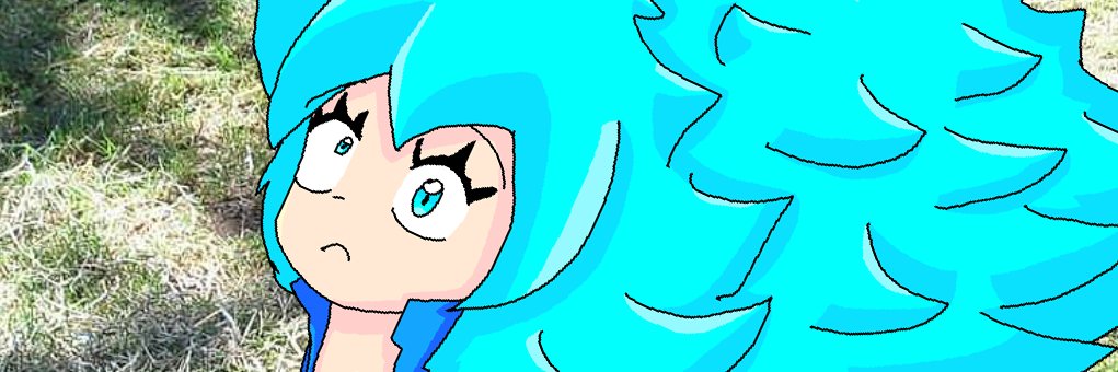 clementinutile's profile banner image