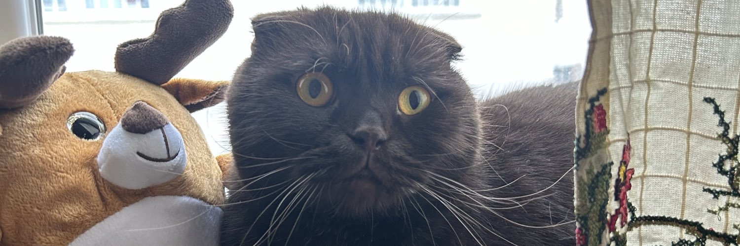 Almiilaaaaaaa's profile banner image