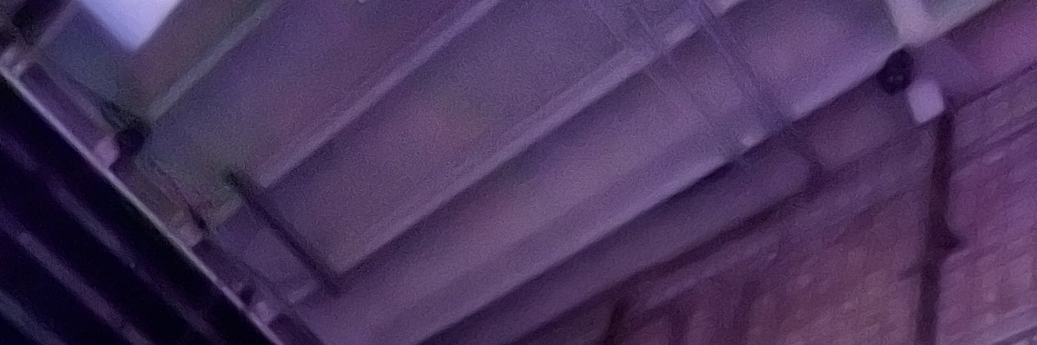 papiluiss's profile banner image