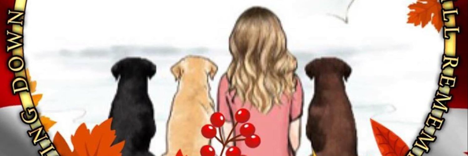 GillPoyser's profile banner image
