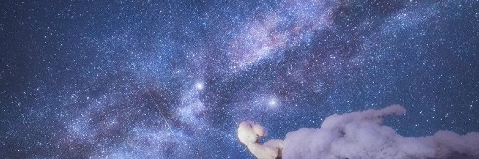 opulence__'s profile banner image