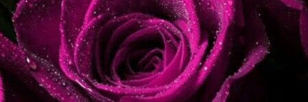 ꧁𝓛𝓲𝓼𝓪 𝓜𝓪𝓻𝓲𝓮꧂🥀🖤🥀🖤 banner