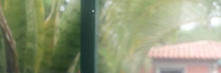 ErickaNRR's profile banner image