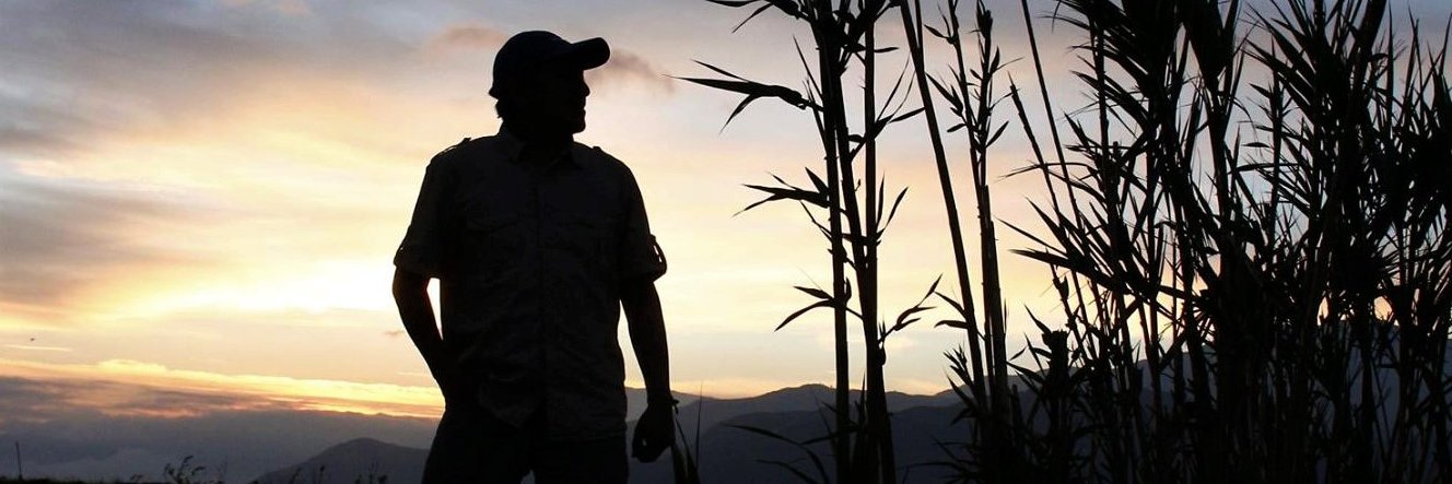 fbejarano01's profile banner image