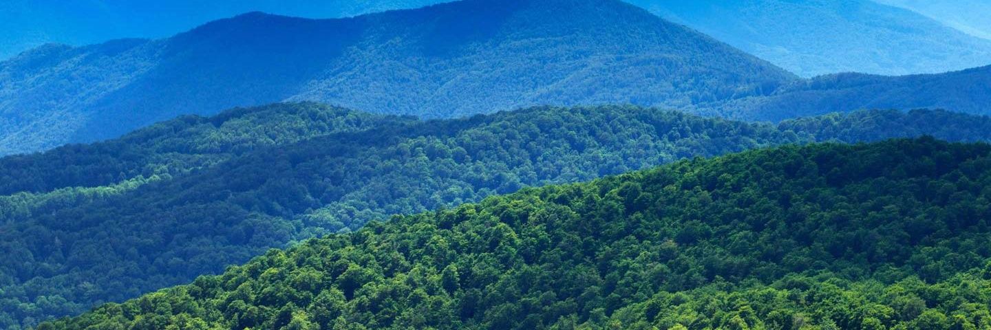 sabrisayan27's profile banner image