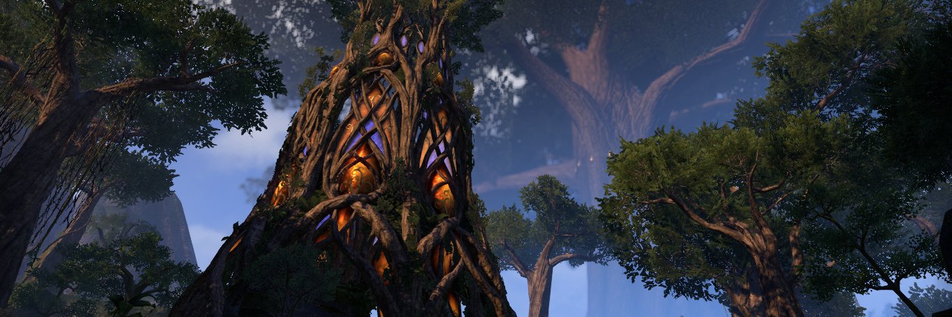 kotche_nash's profile banner image