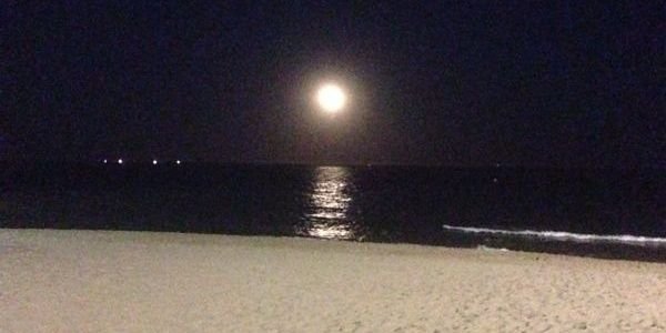 mayterojas88's profile banner image