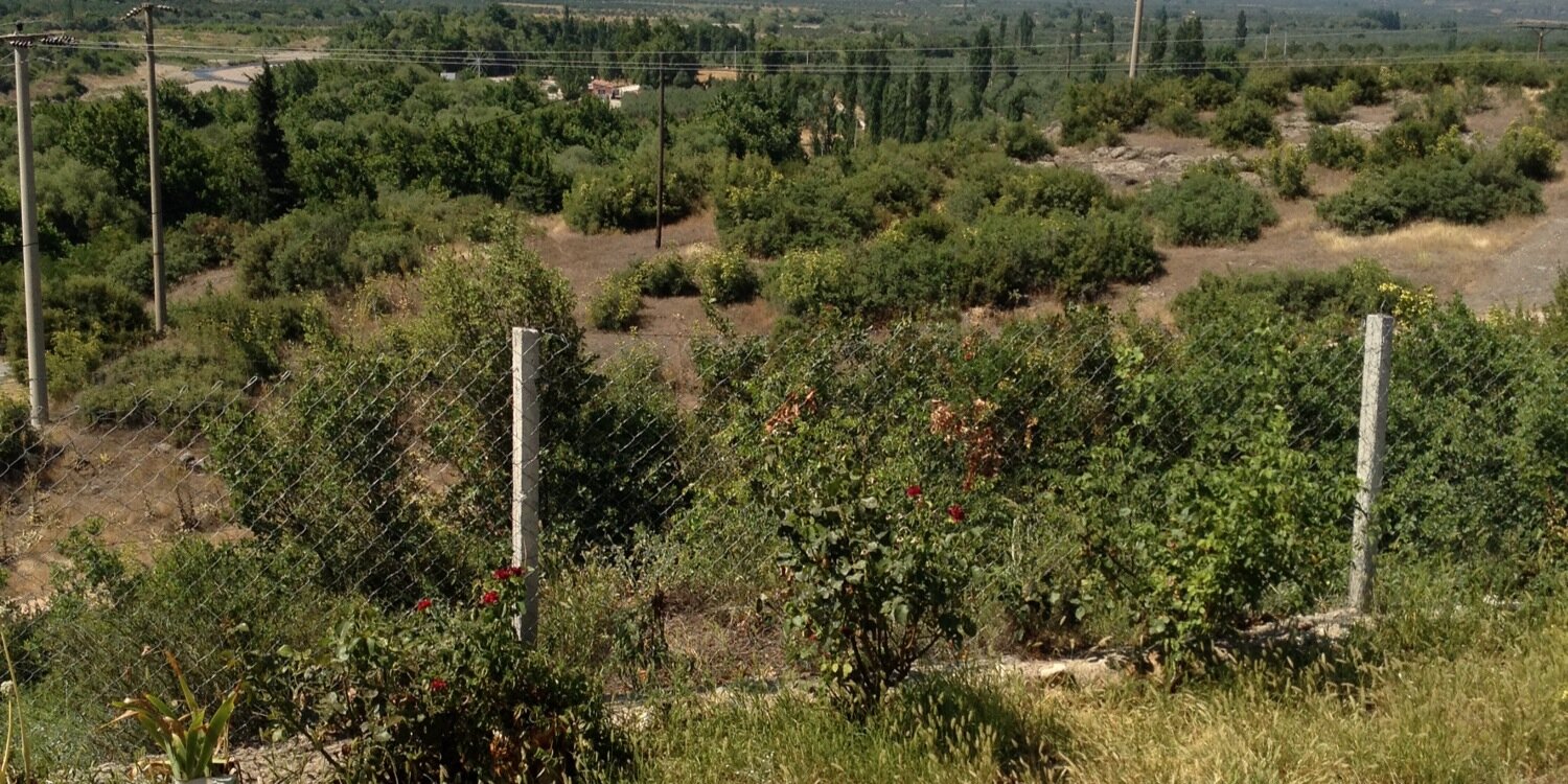 ErdemliEngin's profile banner image