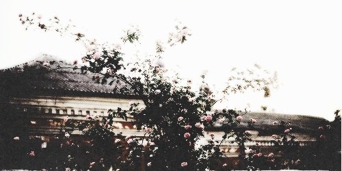 JocoseSpunk's profile banner image