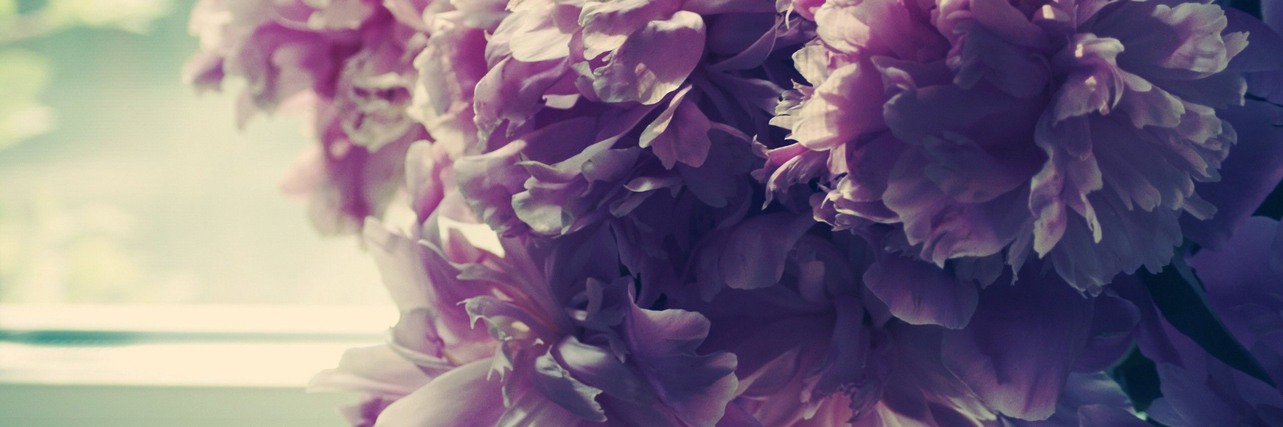 MsCation's profile banner image