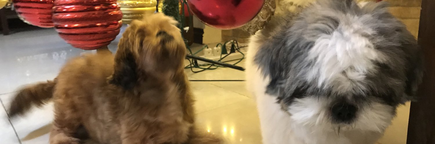 youjesss's profile banner image