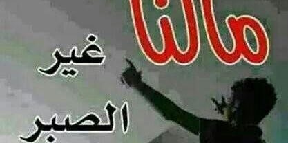ry_yanbu's profile banner image