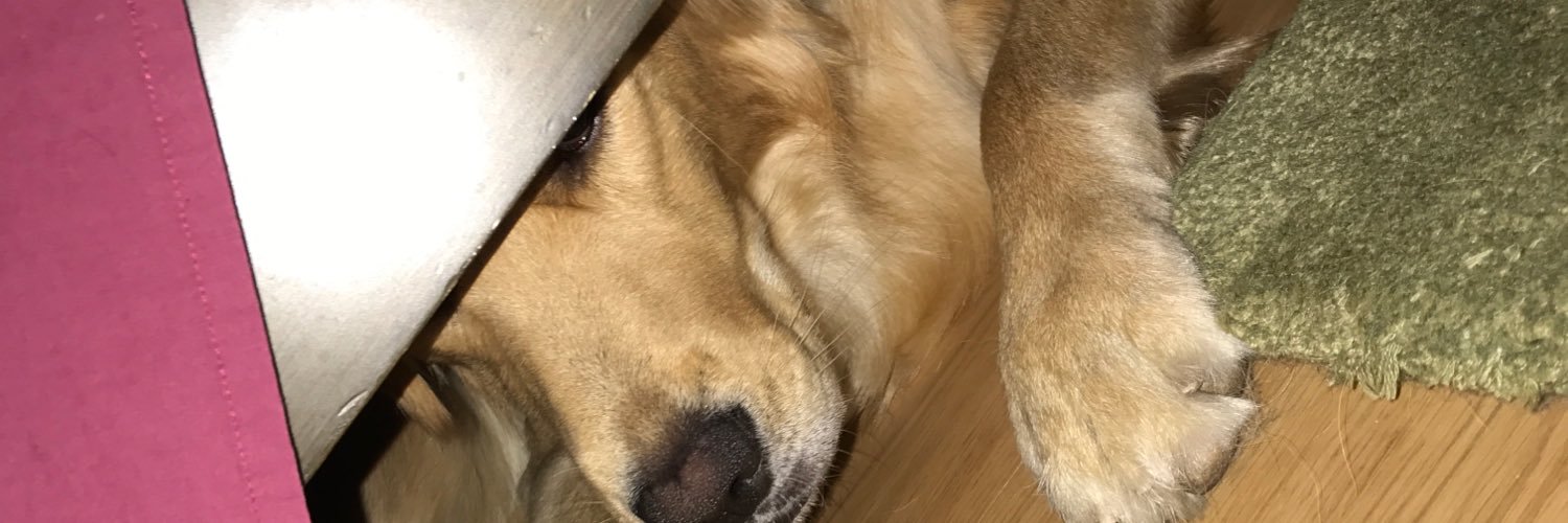 DukeGonzalez14's profile banner image