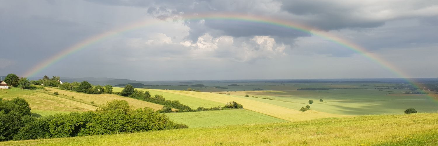 Cécile Debreuve banner