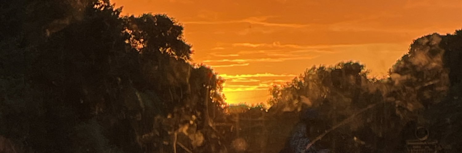fareeha banner