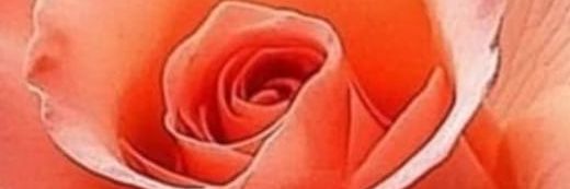 amsever2323's profile banner image