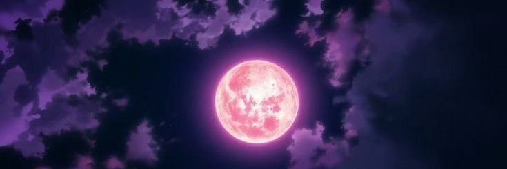 selinkilc's profile banner image
