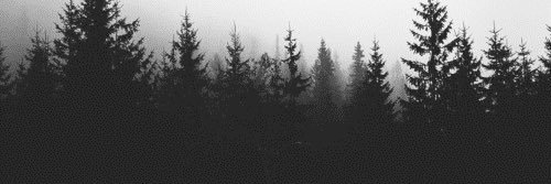 xTramasMD's profile banner image