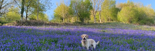 EllenWatson95 Profile Banner