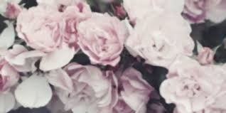 ZoeSuggDF's profile banner image