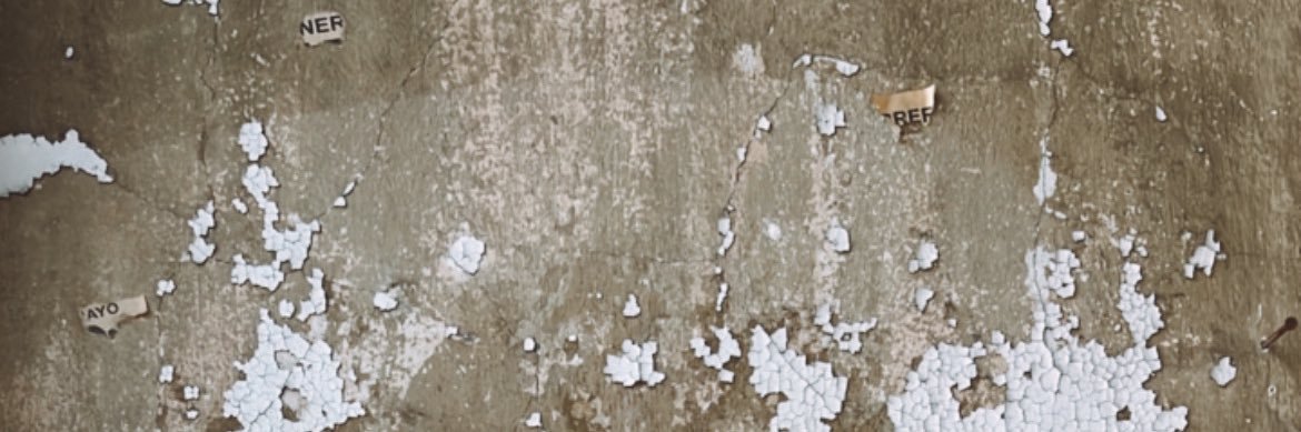 Lupe Alvarez banner