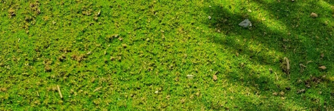 brianjogu's profile banner image