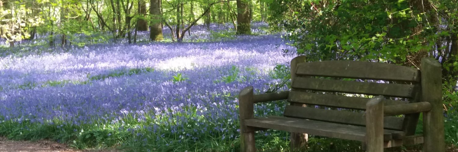 AnneMarr21's profile banner image
