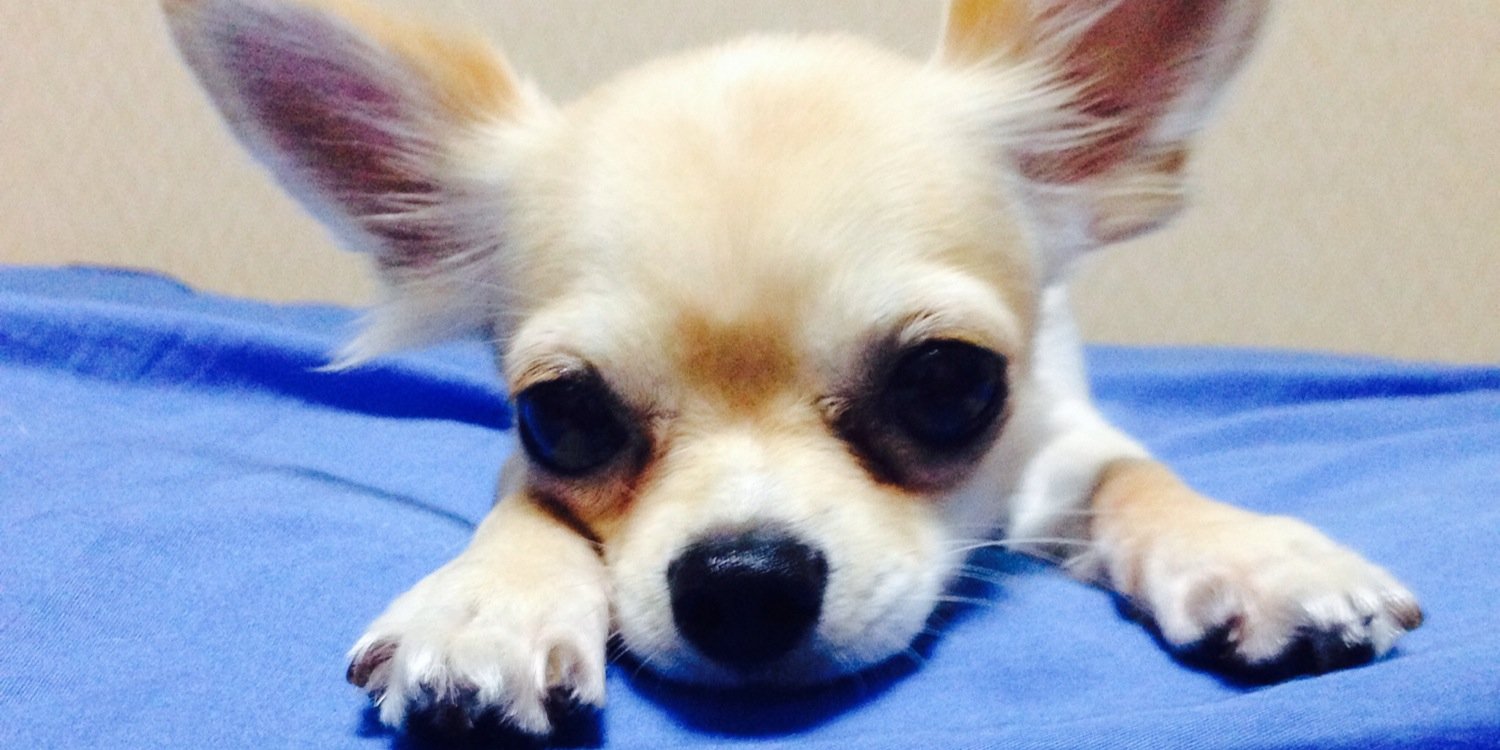 yoppi0109's profile banner image