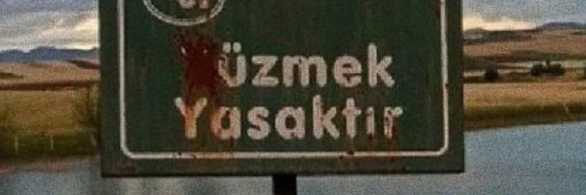 cizikliplak's profile banner image