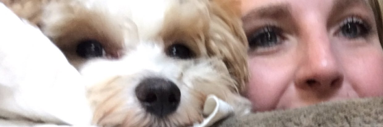 haybeard's profile banner image