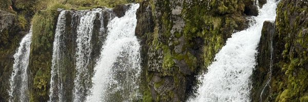 Searfoss10 Profile Banner