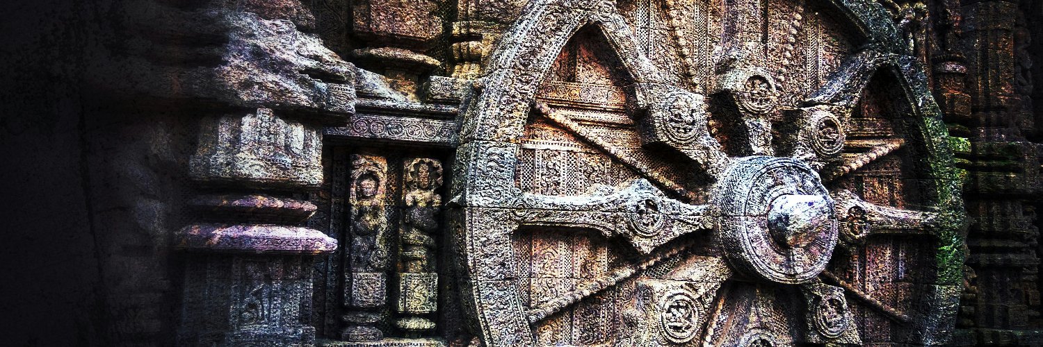 Not Elon Definitely banner