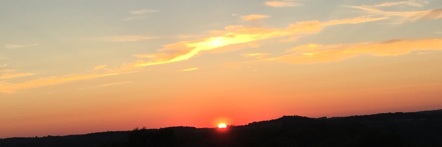 TylerForadori's profile banner image