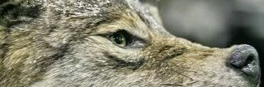 clopezm9's profile banner image