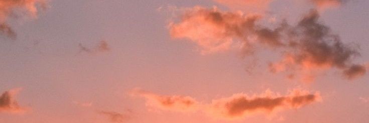 marianafitass's profile banner image