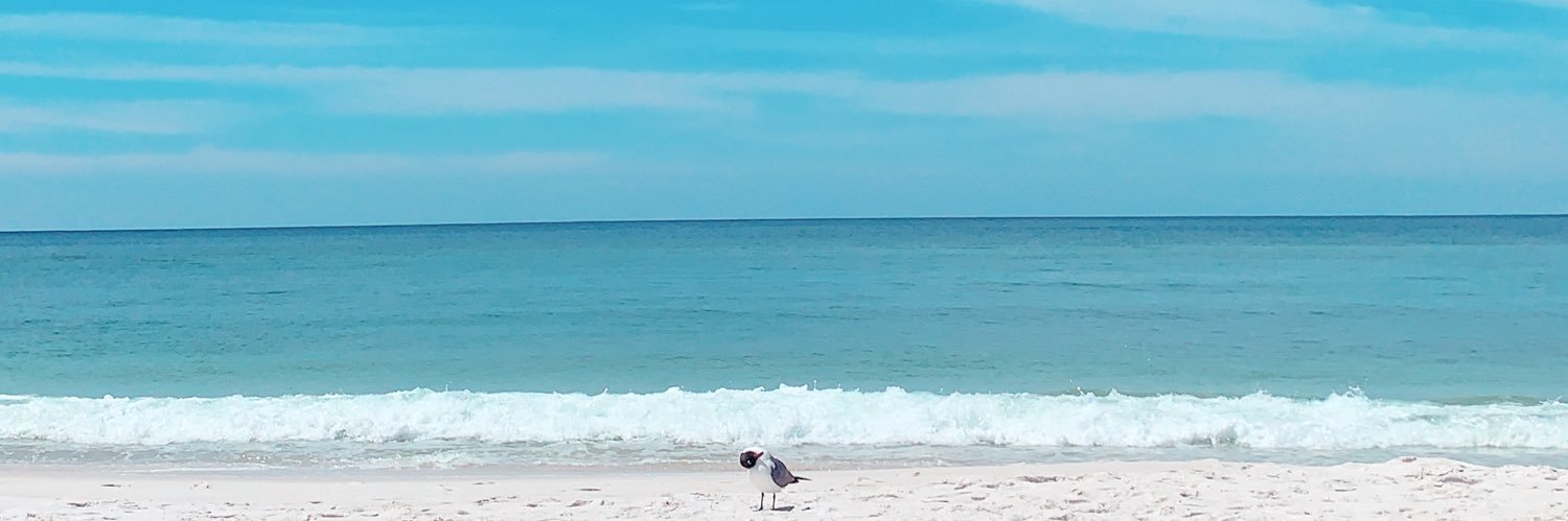katchick5's profile banner image