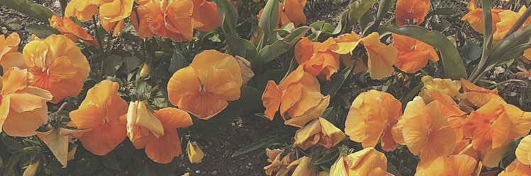 a__st20's profile banner image