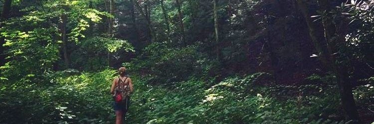 e_c_martian's profile banner image