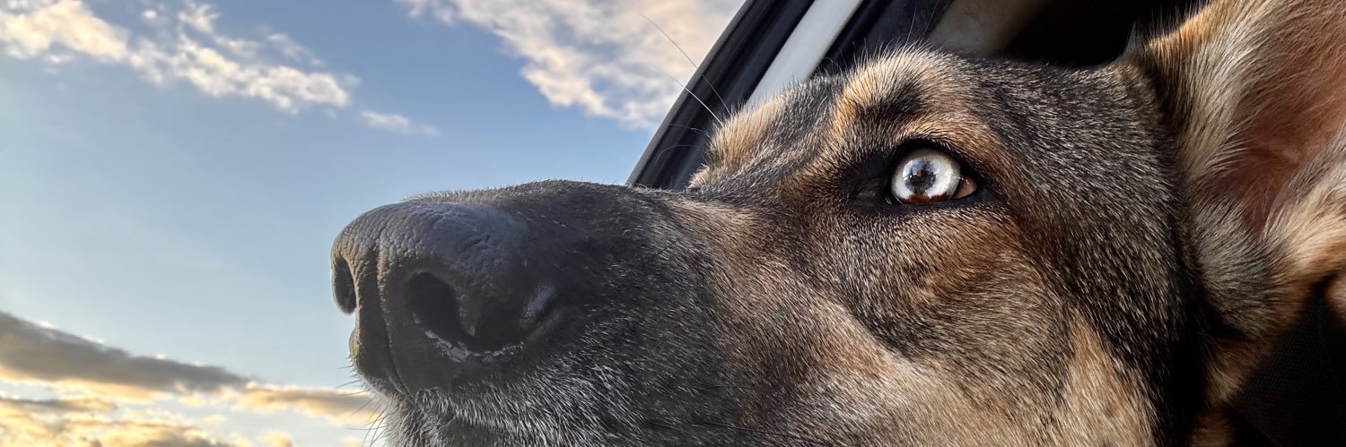 CaninusLexicon's profile banner image